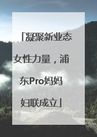 凝聚新业态女性力量，浦东Pro妈妈妇联成立