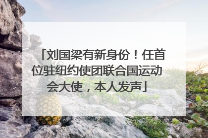 刘国梁有新身份！任首位驻纽约使团联合国运动会大使，本人发声