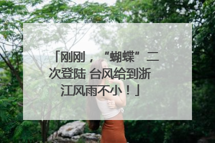 刚刚，“蝴蝶”二次登陆 台风给到浙江风雨不小！