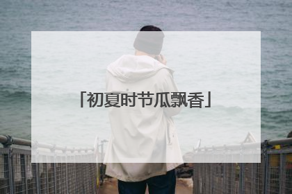 初夏时节瓜飘香