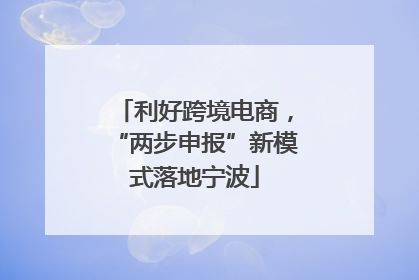 利好跨境电商，“两步申报”新模式落地宁波