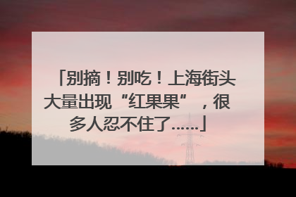 别摘！别吃！上海街头大量出现“红果果”，很多人忍不住了……