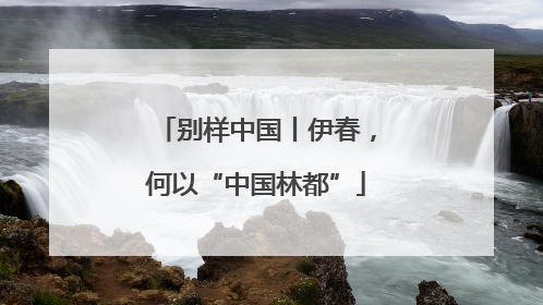 别样中国丨伊春，何以“中国林都”