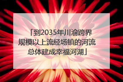 到2035年川渝跨界规模以上流经场镇的河流总体建成幸福河湖