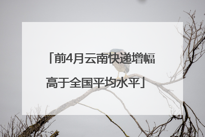 前4月云南快递增幅高于全国平均水平