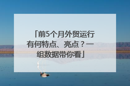 前5个月外贸运行有何特点、亮点？一组数据带你看