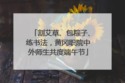 割艾草、包粽子、练书法，黄冈职院中外师生共度端午节