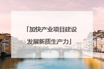 加快产业项目建设 发展新质生产力