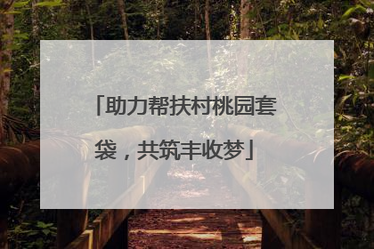 助力帮扶村桃园套袋，共筑丰收梦