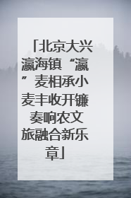 北京大兴瀛海镇“瀛”麦相承小麦丰收开镰 奏响农文旅融合新乐章