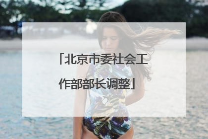 北京市委社会工作部部长调整