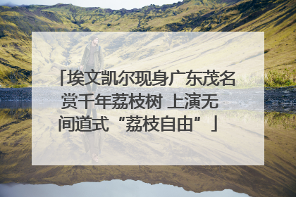 埃文凯尔现身广东茂名 赏千年荔枝树 上演无间道式“荔枝自由”