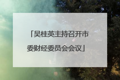 吴桂英主持召开市委财经委员会会议