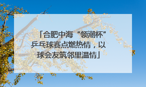 合肥中海“领潮杯”乒乓球赛点燃热情，以球会友筑邻里温情