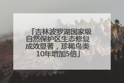 吉林波罗湖国家级自然保护区生态修复成效显著，珍稀鸟类10年增加5倍