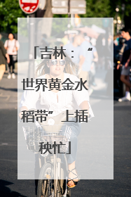 吉林：“世界黄金水稻带”上插秧忙