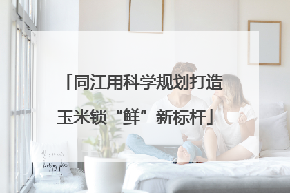 同江用科学规划打造玉米锁“鲜”新标杆