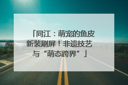 同江：萌宠的鱼皮新装刷屏！非遗技艺与“萌态跨界”