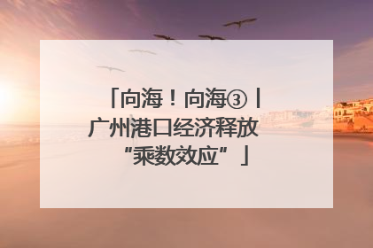 向海！向海③丨广州港口经济释放“乘数效应”