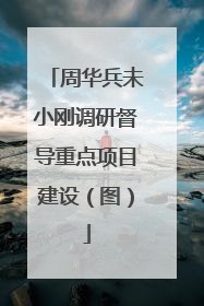 周华兵未小刚调研督导重点项目建设（图）