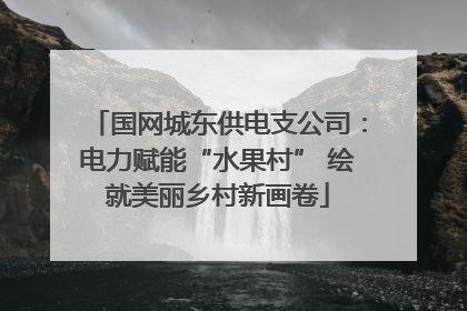 国网城东供电支公司：电力赋能“水果村” 绘就美丽乡村新画卷