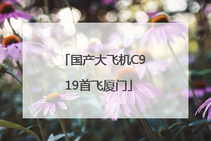 国产大飞机C919首飞厦门