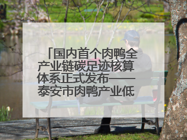 国内首个肉鸭全产业链碳足迹核算体系正式发布——泰安市肉鸭产业低碳发展标准示范项目顺利通过验收