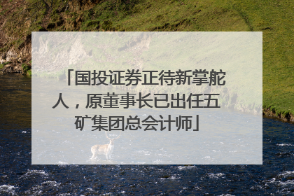 国投证券正待新掌舵人，原董事长已出任五矿集团总会计师