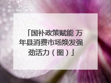 国补政策赋能 万年县消费市场焕发强劲活力（图）