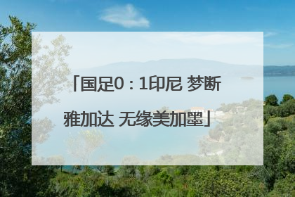 国足0∶1印尼 梦断雅加达 无缘美加墨