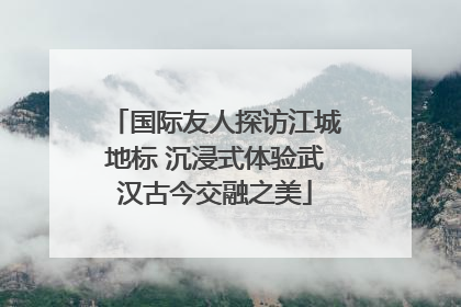 国际友人探访江城地标 沉浸式体验武汉古今交融之美