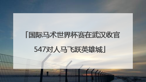 国际马术世界杯赛在武汉收官 547对人马飞跃英雄城