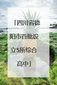四川省德阳市首批设立5所综合高中