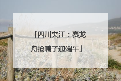 四川夹江：赛龙舟抢鸭子迎端午