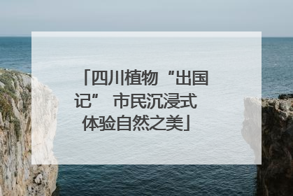 四川植物“出国记” 市民沉浸式体验自然之美