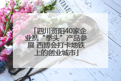 四川资阳40家企业携“拳头”产品参展 西博会打卡地铁上的创业城市