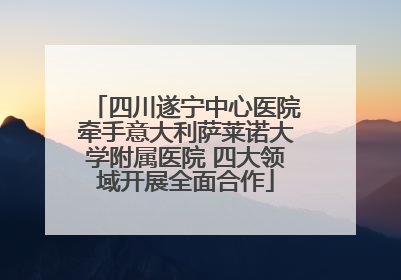 四川遂宁中心医院牵手意大利萨莱诺大学附属医院 四大领域开展全面合作