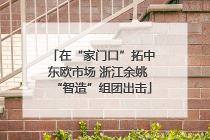 在“家门口”拓中东欧市场 浙江余姚“智造”组团出击