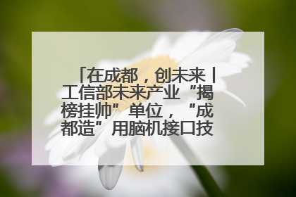 在成都，创未来丨工信部未来产业“揭榜挂帅”单位，“成都造”用脑机接口技术造福孤独症儿童