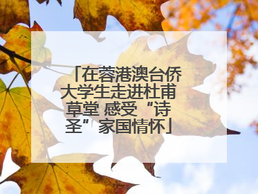 在蓉港澳台侨大学生走进杜甫草堂 感受“诗圣”家国情怀