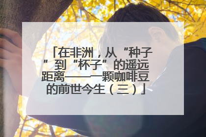 在非洲，从“种子”到“杯子”的遥远距离——一颗咖啡豆的前世今生（三）