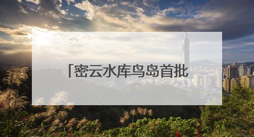 密云水库鸟岛首批幼鸟成功离巢试飞