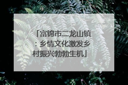 富锦市二龙山镇：乡情文化激发乡村振兴勃勃生机