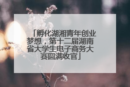 孵化湖湘青年创业梦想，第十二届湖南省大学生电子商务大赛圆满收官