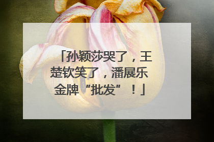 孙颖莎哭了，王楚钦笑了，潘展乐金牌“批发”！