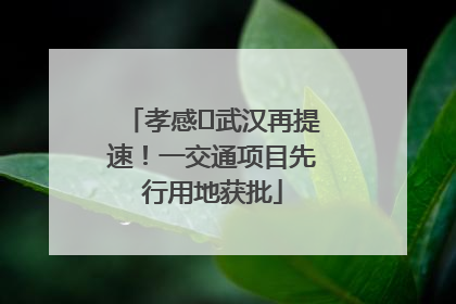 孝感⇋武汉再提速！一交通项目先行用地获批