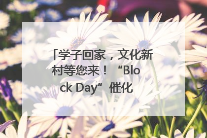 学子回家，文化新村等您来！“Block Day”催化学院式街区新生态