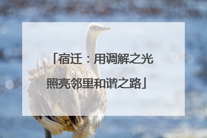 宿迁：用调解之光照亮邻里和谐之路