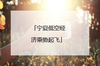 宁夏低空经济乘势起飞