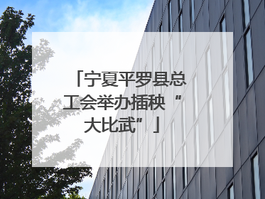 宁夏平罗县总工会举办插秧“大比武”